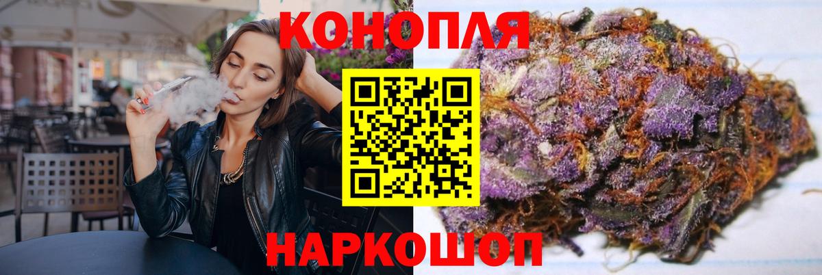 Каннабис сатива Гудермес